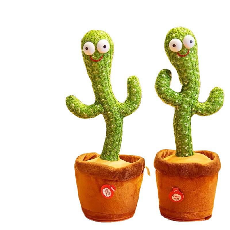 Can dance, cactus, T... Can dance, cactus, T...