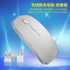 Manufacturer's stock new type-C wireless mouse + 2.4G dual receiver charging mute for cross-border E-commerce