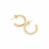 European and American simple C-shaped twisted Earrings stainless steel women's Earrings plated with 18K Gold women's stainless steel earrings