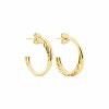 European and American simple C-shaped twisted Earrings stainless steel women's Earrings plated with 18K Gold women's stainless steel earrings