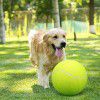 Big tennis signature 24cm inflatable tennis Festival gift pet tennis 9.5 inch pet biting toy