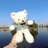 Sweater, bear doll, teddy bear, plush toys, doll grabbing machine, doll, children's doll, birthday gift wholesale