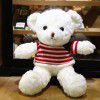 Teddy bear doll Teddy Bear Plush Doll teacher's Day gift to girlfriend night market wholesale