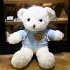 Teddy bear doll Teddy Bear Plush Doll teacher's Day gift to girlfriend night market wholesale