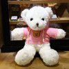 Teddy bear doll Teddy Bear Plush Doll teacher's Day gift to girlfriend night market wholesale