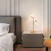 Guangdong Zhongshan lamp lighting modern acrylic Nordic living room bedroom remote control wireless bedside floor lamp