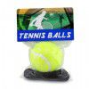 Beginner training tennis with rope (2 sets of tennis trainers)