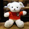 Teddy bear doll Teddy Bear Plush Doll teacher's Day gift to girlfriend night market wholesale