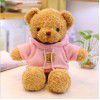 Sweater, bear doll, teddy bear, plush toys, doll grabbing machine, doll, children's doll, birthday gift wholesale