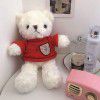 Sweater, bear doll, teddy bear, plush toys, doll grabbing machine, doll, children's doll, birthday gift wholesale