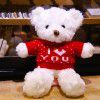 Teddy bear doll Teddy Bear Plush Doll teacher's Day gift to girlfriend night market wholesale