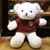 Teddy bear doll Teddy Bear Plush Doll teacher's Day gift to girlfriend night market wholesale