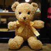 Teddy bear doll Teddy Bear Plush Doll teacher's Day gift to girlfriend night market wholesale