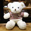 Teddy bear doll Teddy Bear Plush Doll teacher's Day gift to girlfriend night market wholesale
