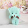 Teddy bear plush toys, conjoined bear dolls, teddy bear toys, small gifts manufacturers, wholesale and direct sales, key chain pendant