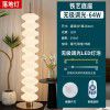 Floor lamp: the simple modern bedroom beside the sofa in the living room. The new light luxury Nordic designer gourd floor lamp