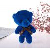 Teddy bear plush toys, conjoined bear dolls, teddy bear toys, small gifts manufacturers, wholesale and direct sales, key chain pendant