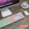 Factory wholesale silent bass keyboard retro punk dot wired interface desktop notebook general